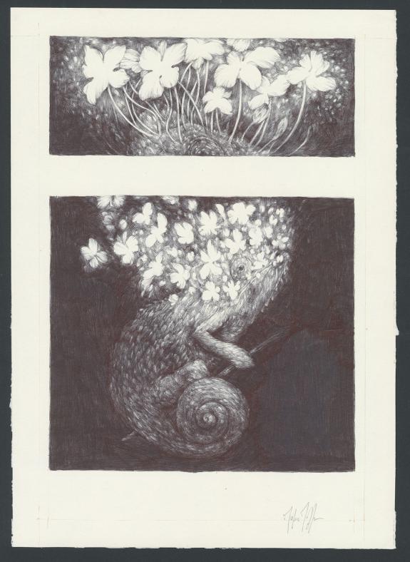 Marco Mazzoni - Illustration originale