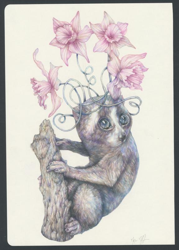 Marco Mazzoni - Illustration originale