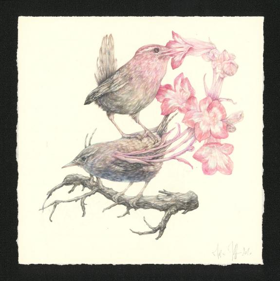 Marco Mazzoni - Journaux troubl&eacute;s, Illustration originale