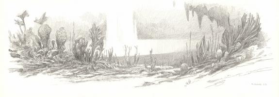 Armel Gaulme - Les Carnets Lovecraft, Le Festival , Illustra