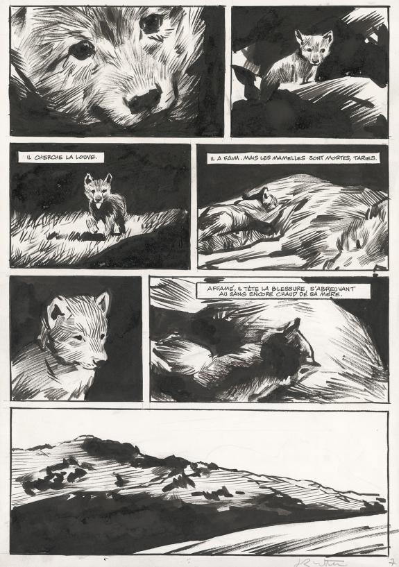 Jean-Marc Rochette - Le Loup, Planche originale n&deg; 7