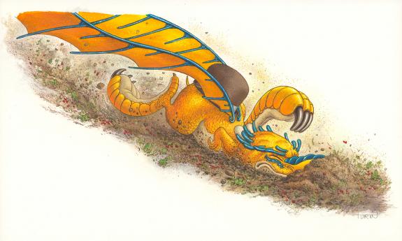 Philippe-Henri Turin - Charles, M&eacute;chant Charles, Illustratio