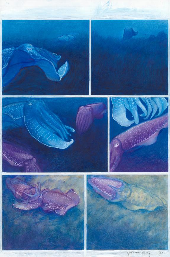 Gaetan Nocq - Octopolis, Planche originale n&deg;103