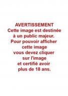 Daniel Koller - I.R.$. - All Watcher, La N&eacute;buleuse Roxana, P