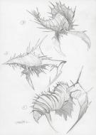 Manchu - Six recherches de la couverture originale du roman 