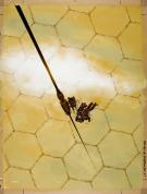 Manchu - Couverture originale du roman La M&eacute;nagerie de Papie