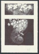 Marco Mazzoni - Illustration originale