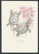 Marco Mazzoni - Illustration originale