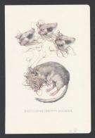 Marco Mazzoni - Illustration originale