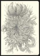 Armel Gaulme - Les Carnets Lovecraft, Les Rats dans les murs