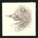 Marco Mazzoni - Journaux troubl&eacute;s, Illustration originale