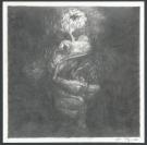 Marco Mazzoni - Illustration originale, The Little Frog