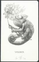 Marco Mazzoni - Illustration originale, Wonder,2021