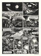 Daria Schmitt - Ornithomaniacs, Planche originale n&deg;89