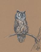 Peter de S&egrave;ve - Illustration originale