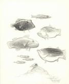 Carter Goodrich - Casting Call, Illustration originale issue